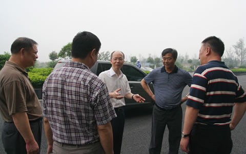 寧波江東區委書記一行來樱桃视频污污污股份視察