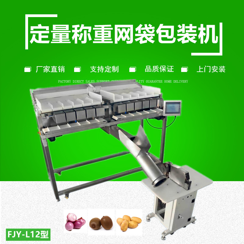 定量稱重網（wǎng）袋包裝（zhuāng）機FJY-L12型
